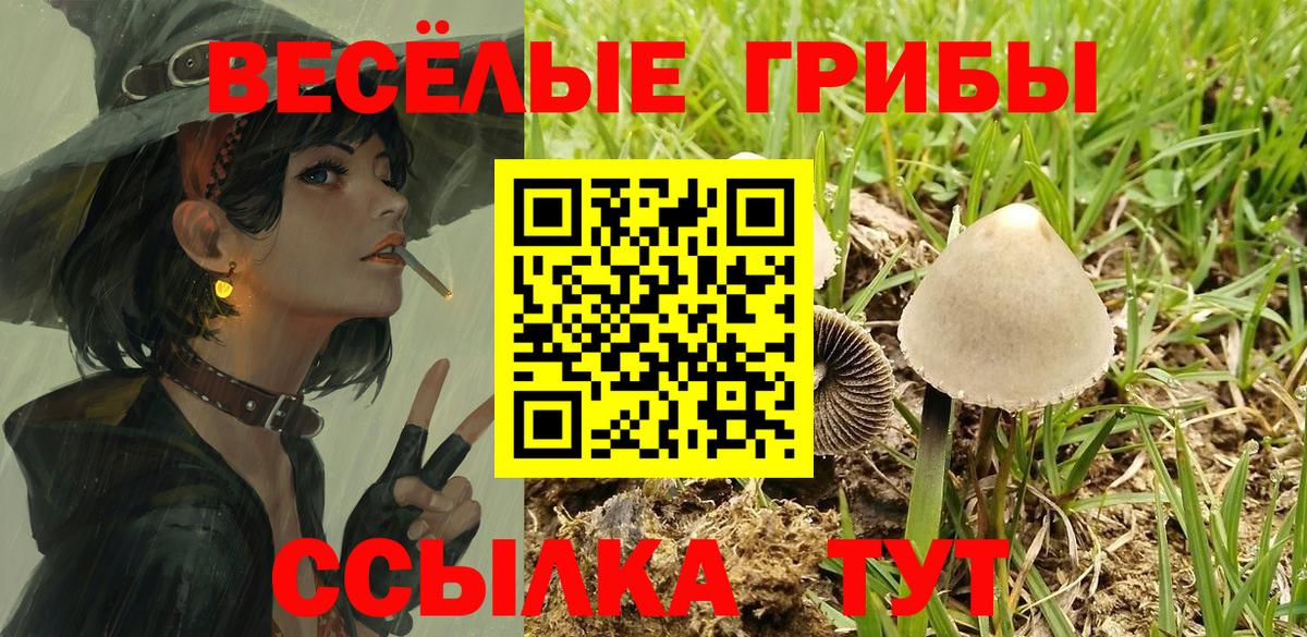 продажа наркотиков  Псилоцибиновые грибы GOLDEN TEACHER  Вход с VPN  Новошахтинск 